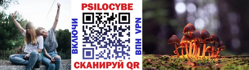 Псилоцибиновые грибы Psilocybe  Купить закладки  Дно 